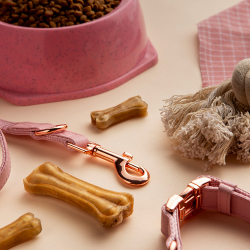 Why High-Quality Pet Accessories Are Worth the Investment