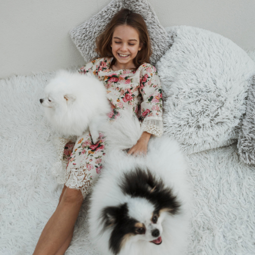 The Importance of Choosing the Right Bed for Your Pet