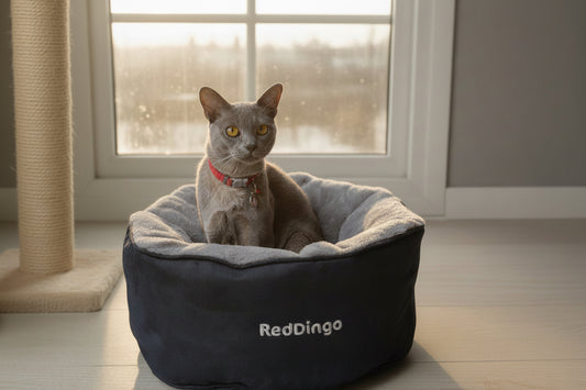 Red Dingo Premium Cat Bed
