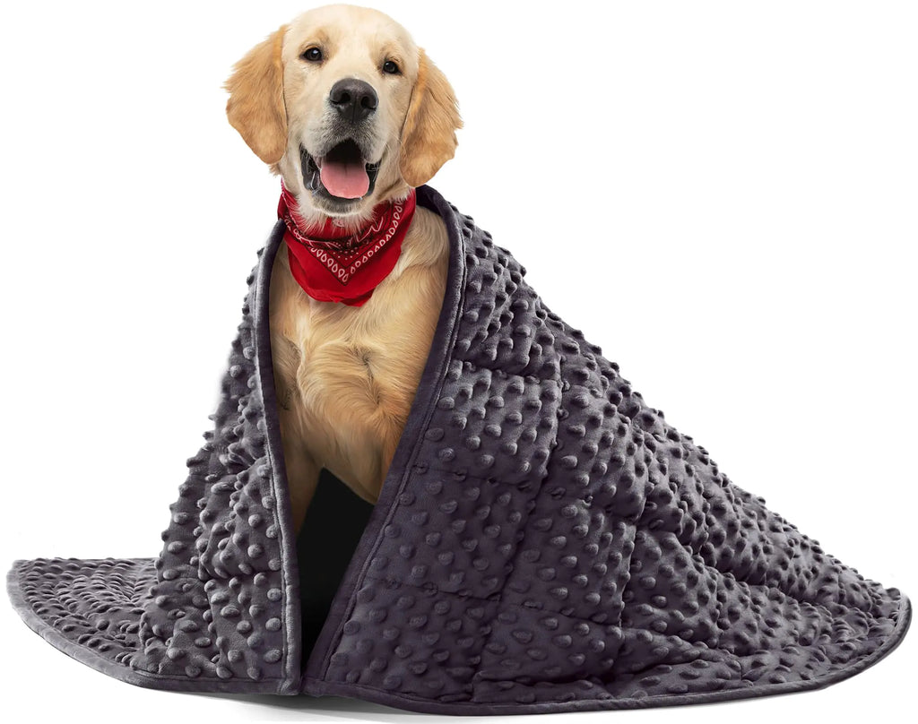 CalmPup 6lb Weighted Comfort Blanket for Pets (40x47in, Dark Grey)