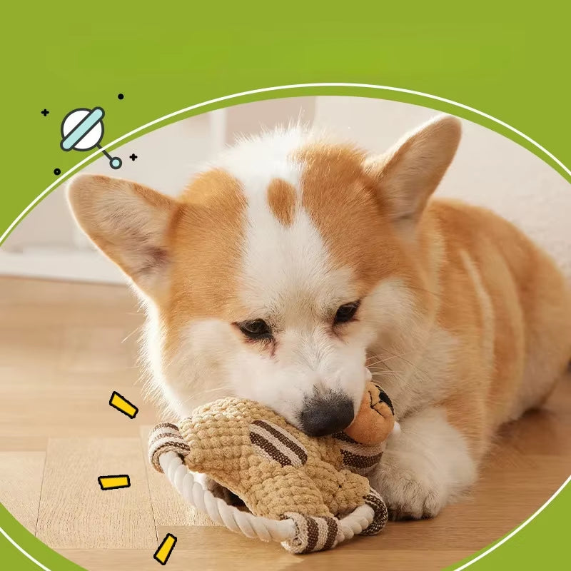 Pet Bite Toy Wear Resistant and Tear Resistant Cotton Rope Peanut Pig Toy Dog Teeth Grinding Cleaning Cartoon Pet Toy