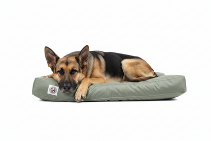 Brutus Tough Chew Resistant Pet Napper