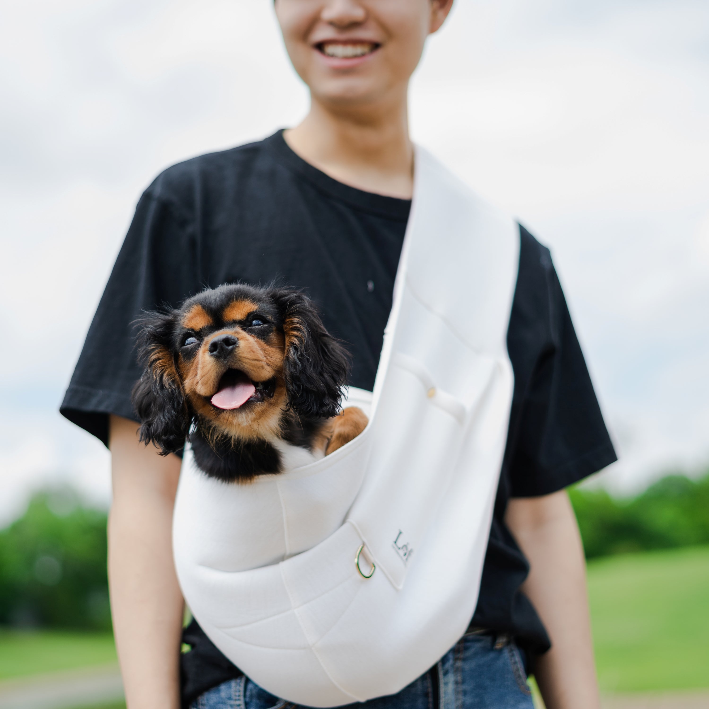Small Pet Sling Carrier