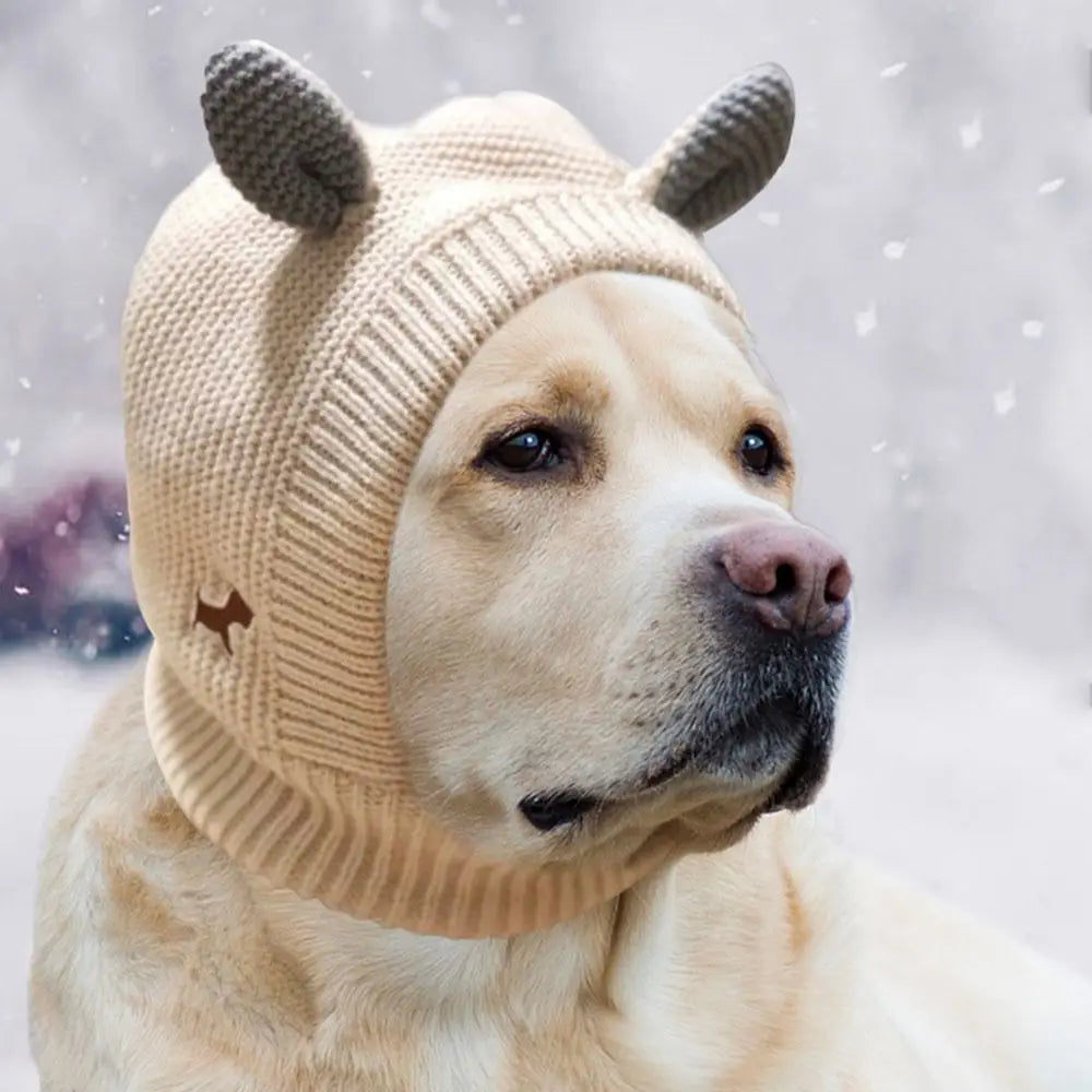 Dog Knitted Hat