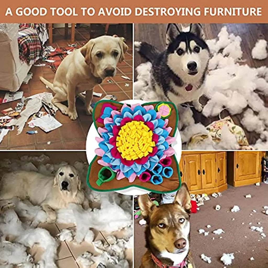 Pet Dogs Snuffle and Forage Mat