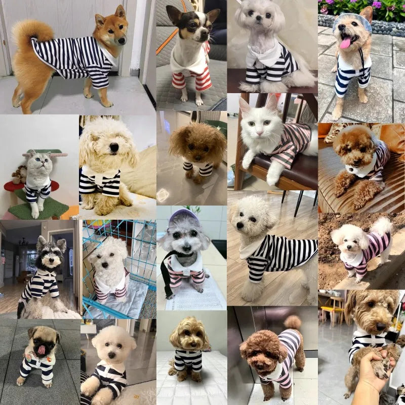 Pet Striped Polo Shirt
