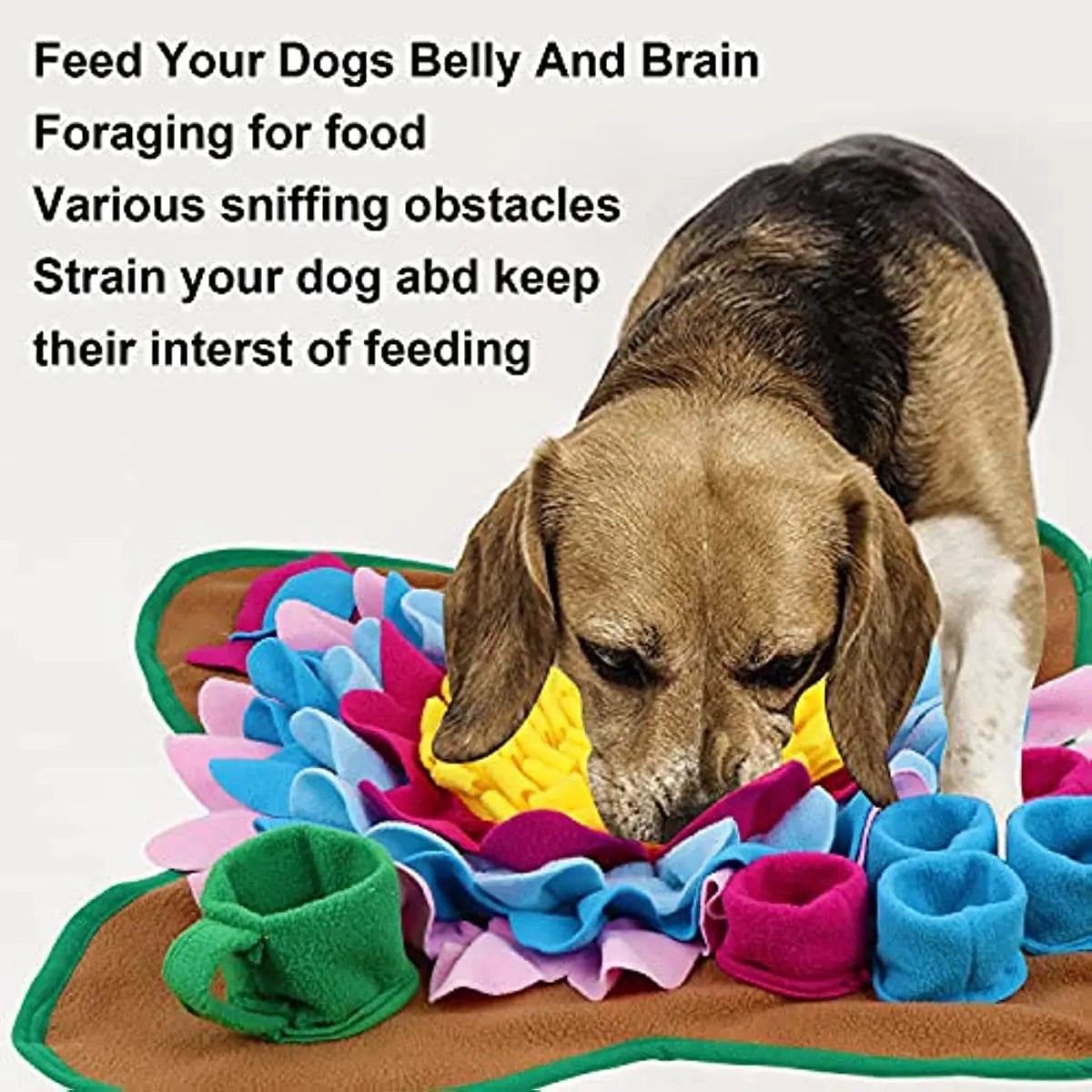 Pet Dogs Snuffle and Forage Mat