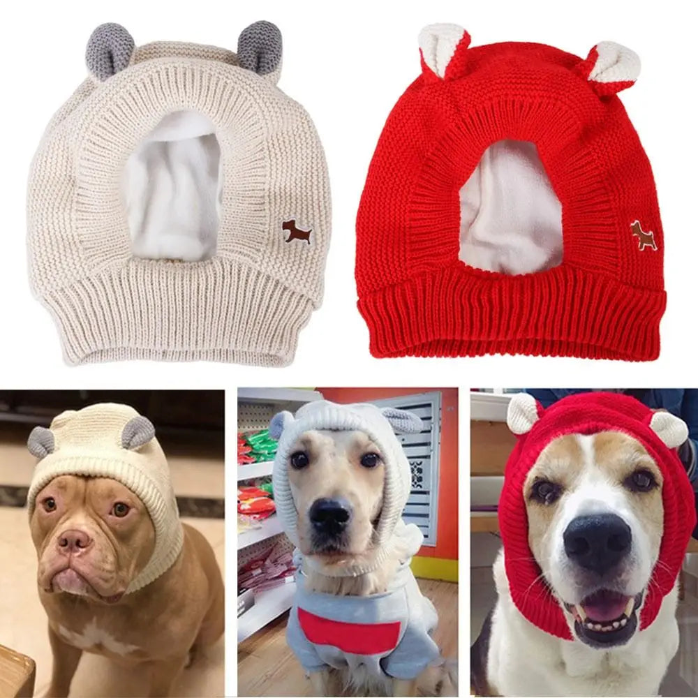 Dog Knitted Hat
