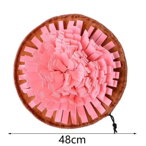 Pet Dogs Snuffle and Forage Mat
