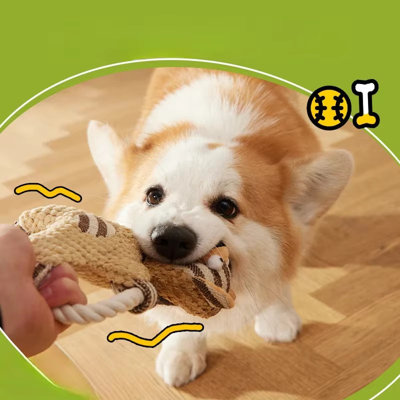 Pet Bite Toy Wear Resistant and Tear Resistant Cotton Rope Peanut Pig Toy Dog Teeth Grinding Cleaning Cartoon Pet Toy