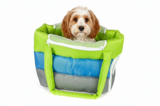 The Explorer Insulated Tote